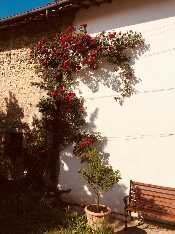 Relais Villa Gozzi B&B Arcugnano Kültér fotó